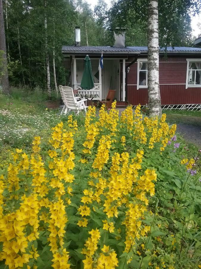 Ilmastoitu Kesaemoekki Askolassa Laehellae Porvoota Exteriör bild